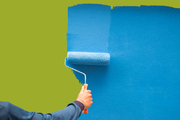 Best Mold Remediation for Vacation Homes  in USA